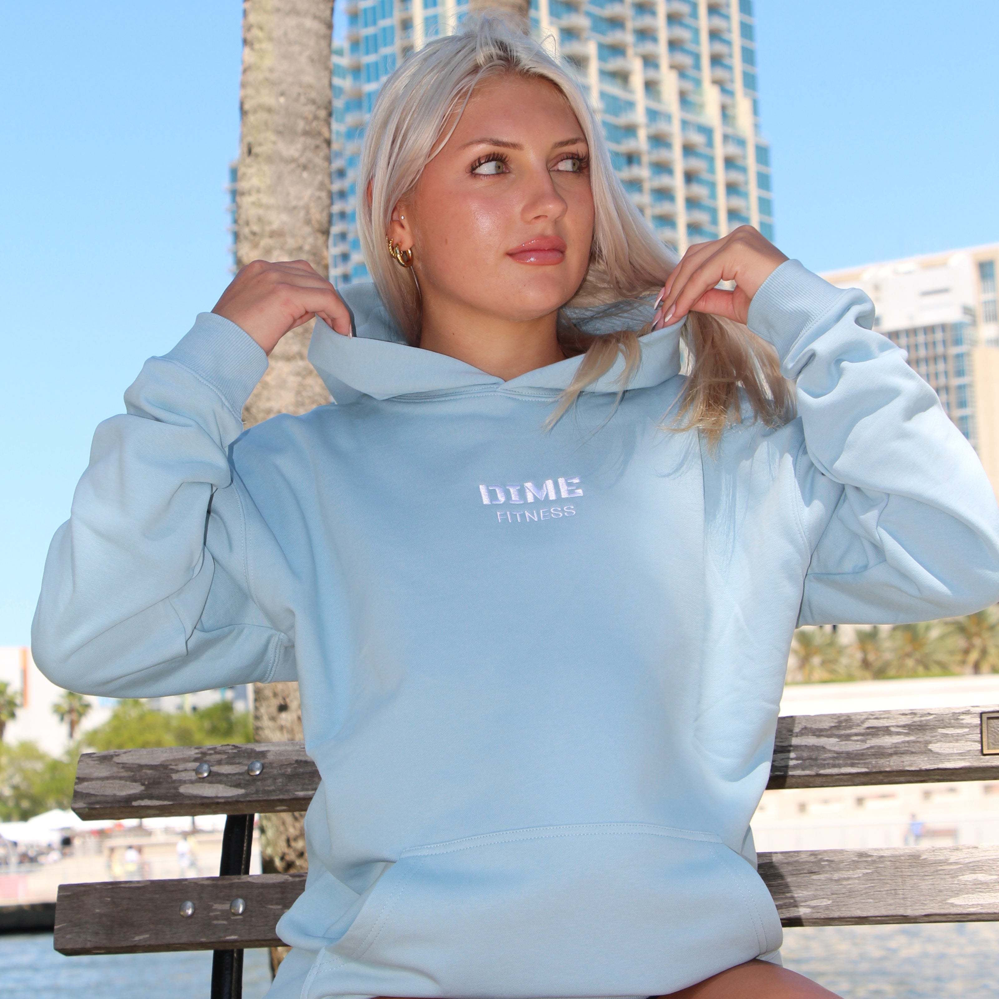 DIME Fitness Hoodie – Dime Fitness